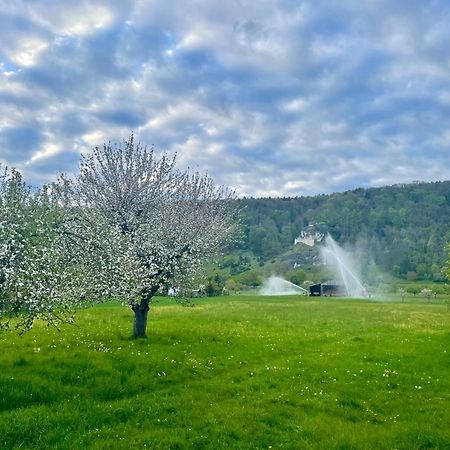Roemercastell Wirtshaus & Hotel Bohming المظهر الخارجي الصورة